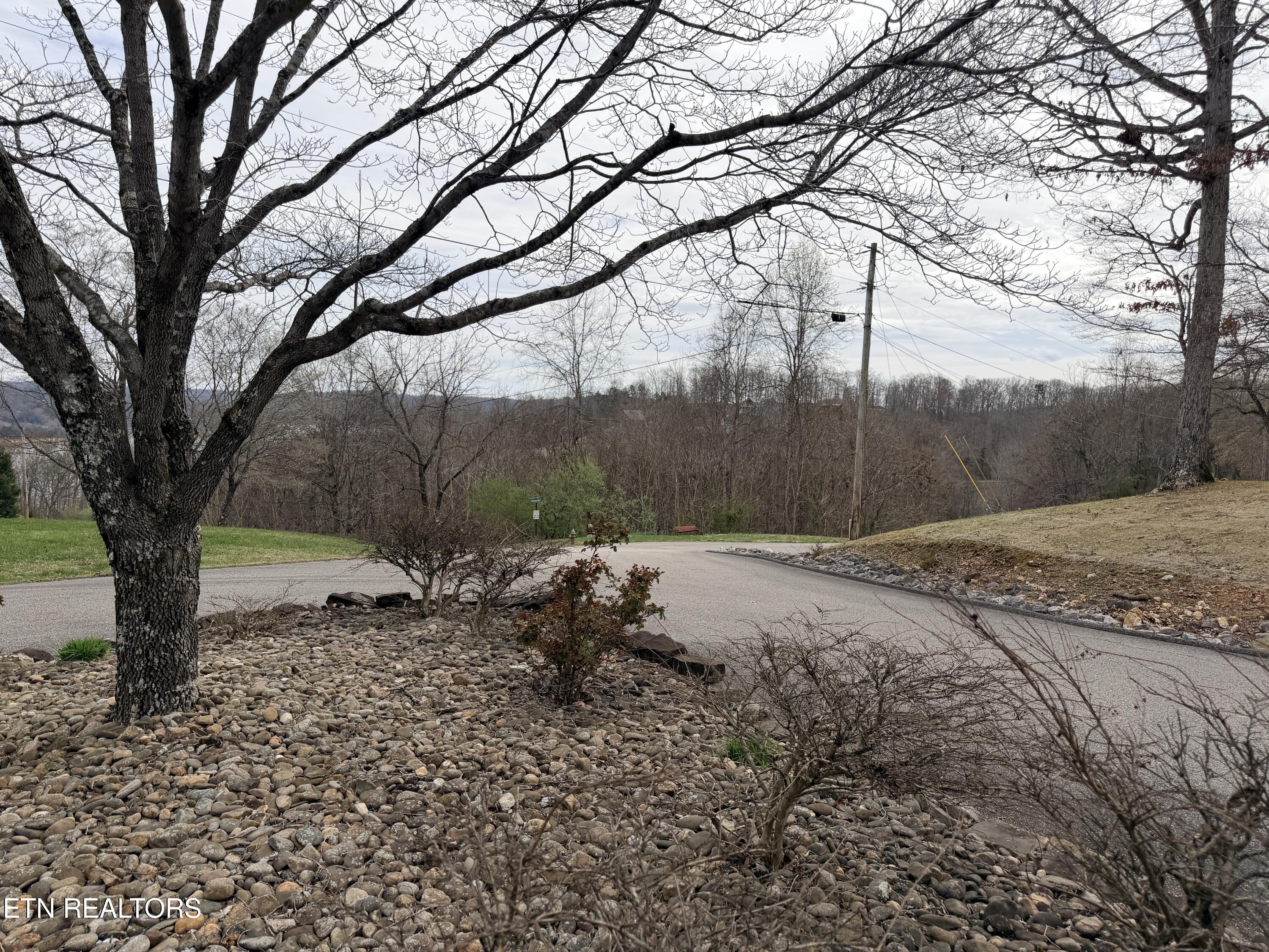 Shanghai Lake Lane Lafollette TN 37766