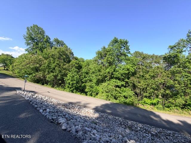 Shanghai Lake Lane Lafollette TN 37766