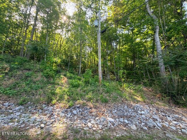 Shanghai Lake Lane Lafollette TN 37766