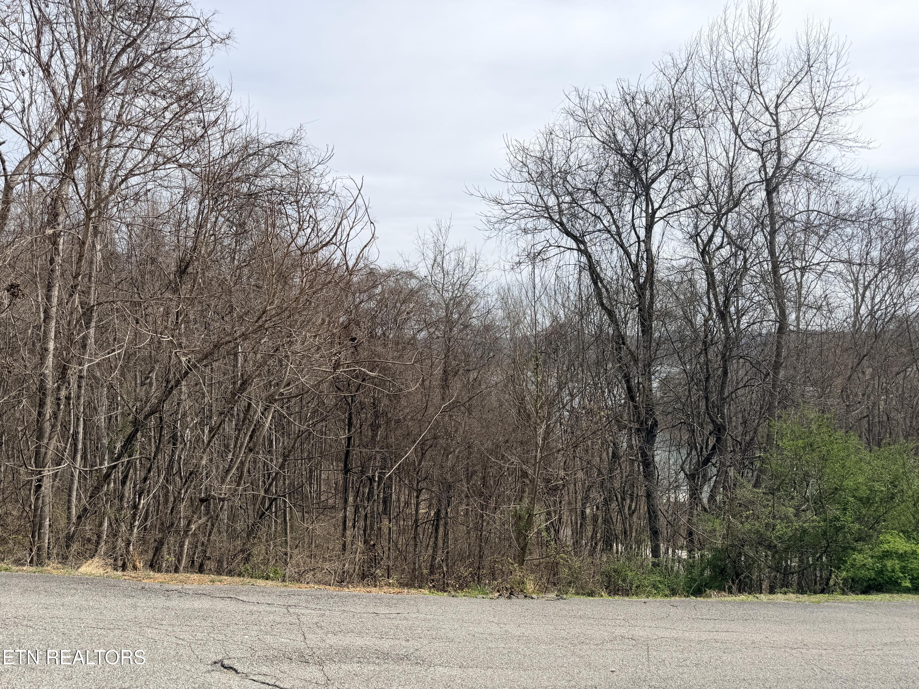 Shanghai Lake Lane Lafollette TN 37766