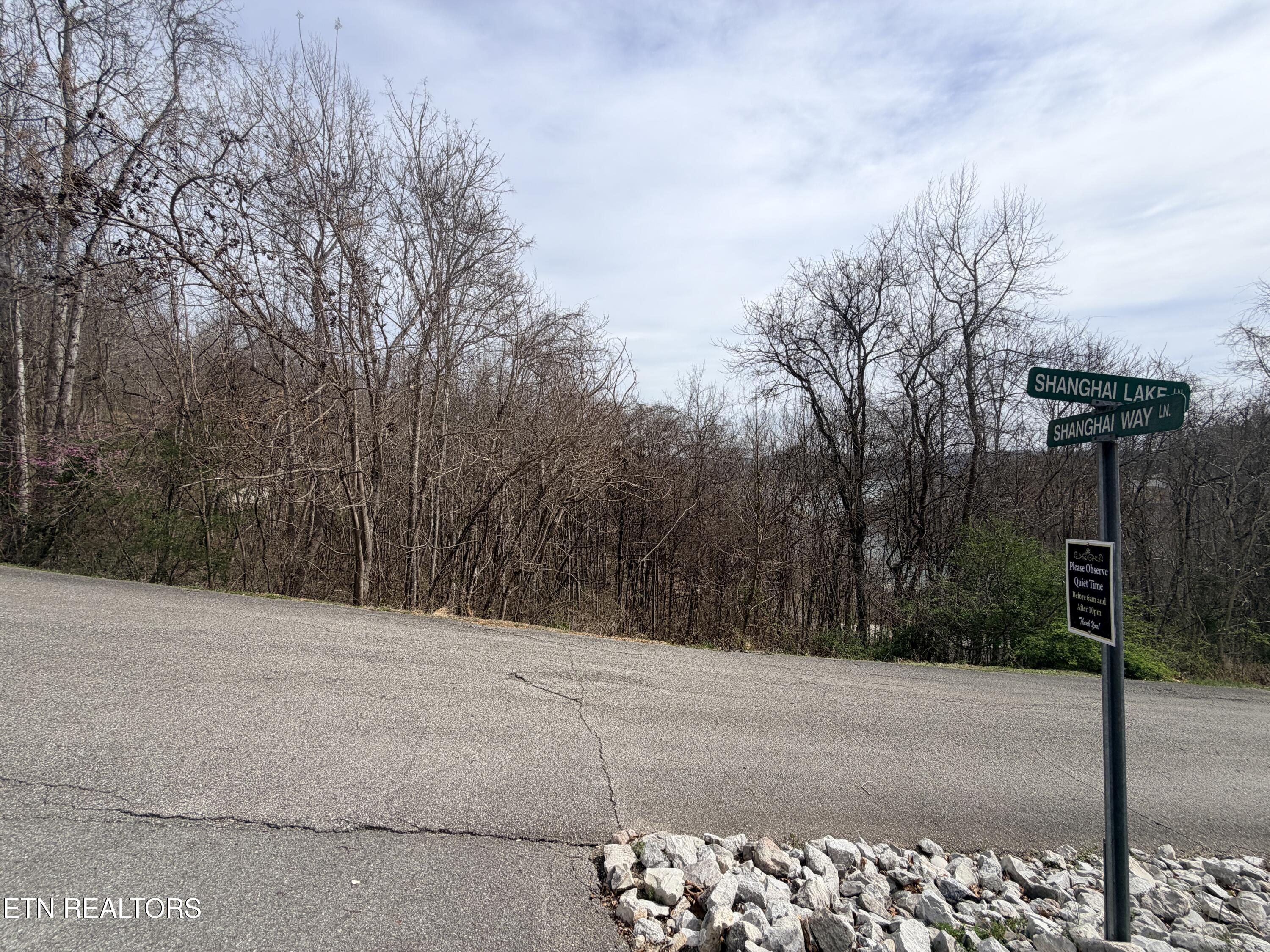 Shanghai Lake Lane Lafollette TN 37766