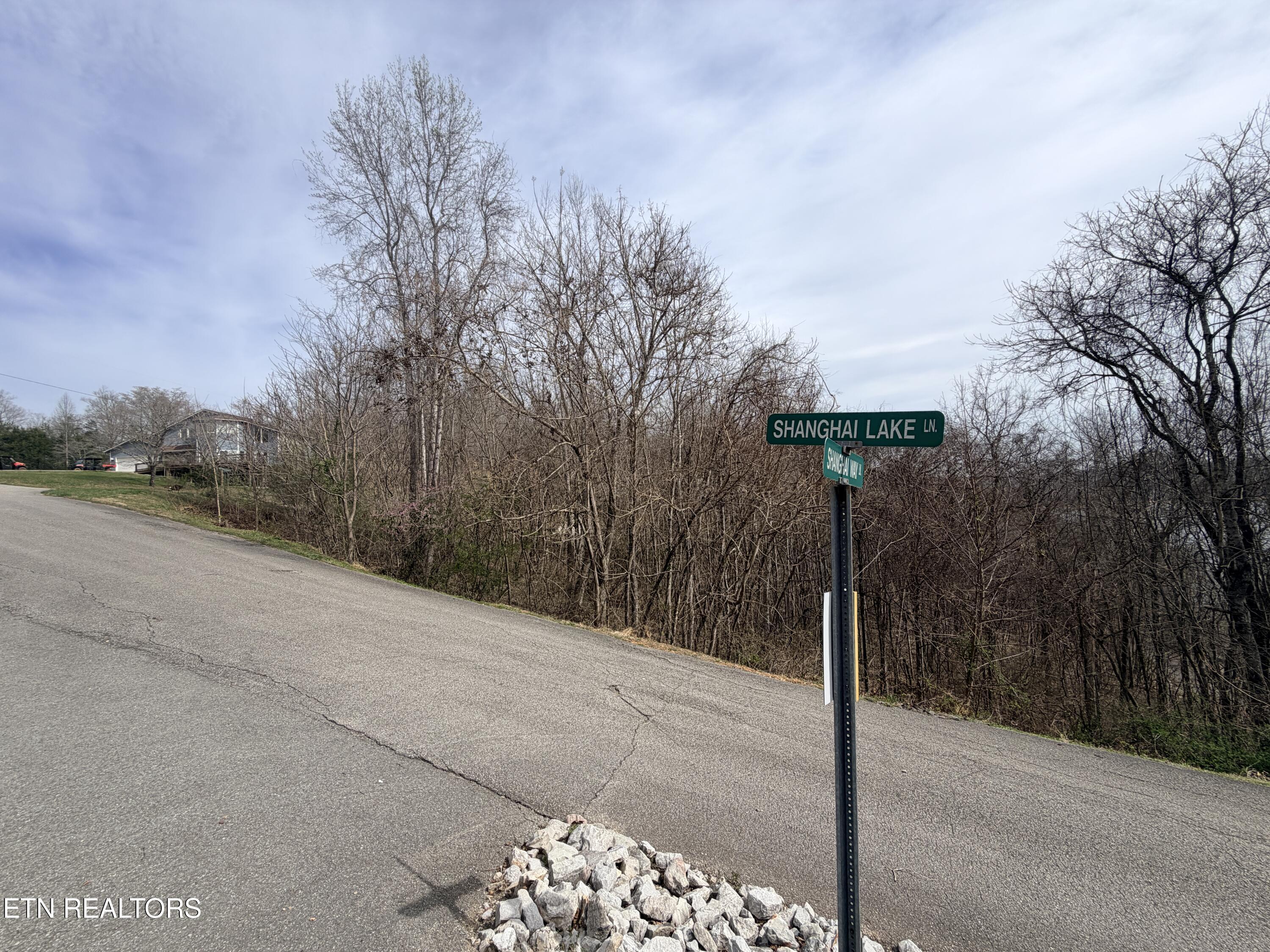 Shanghai Lake Lane Lafollette TN 37766