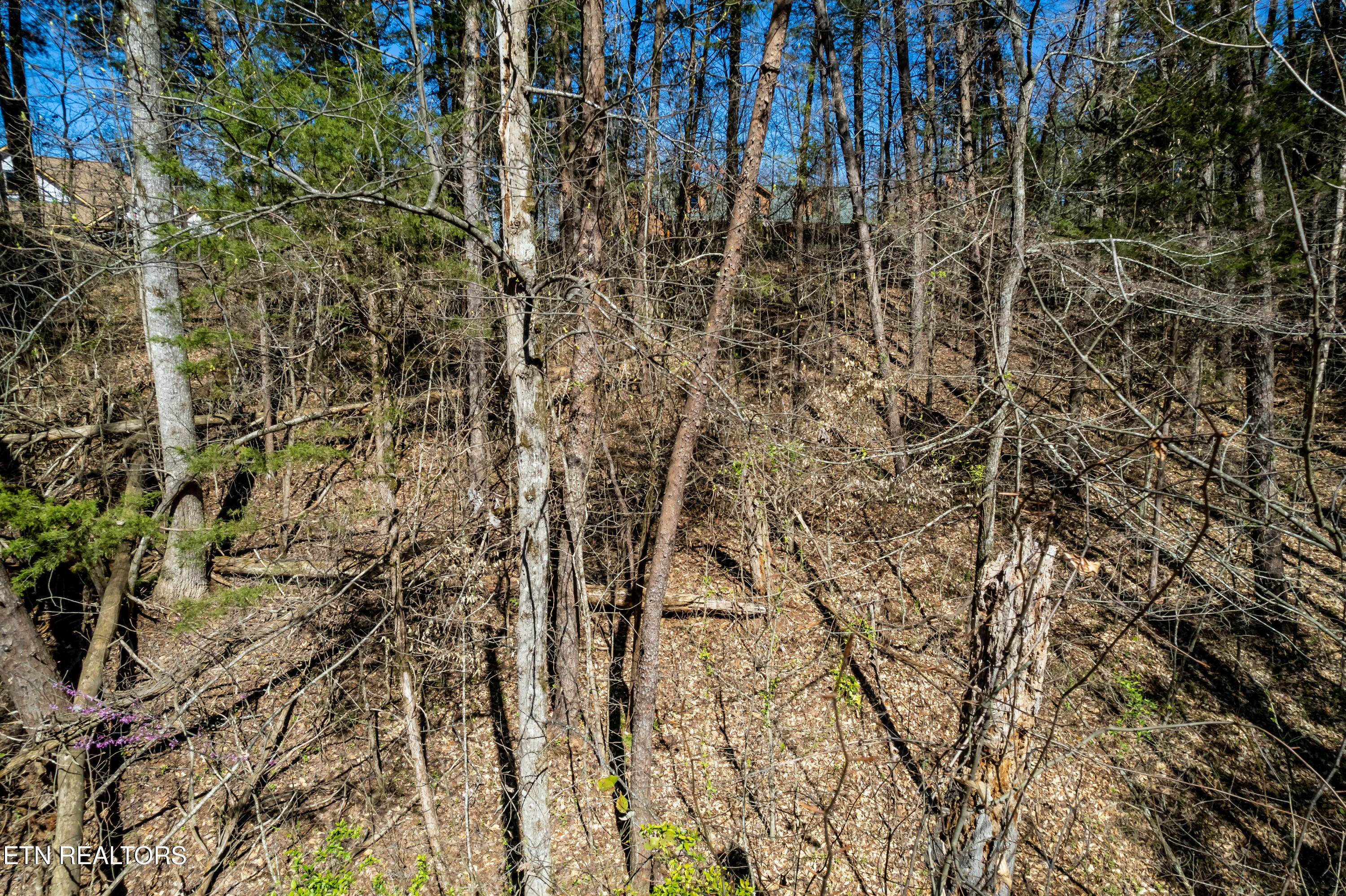 Lot 112 Indian Shadows Drive Maryville TN 37801