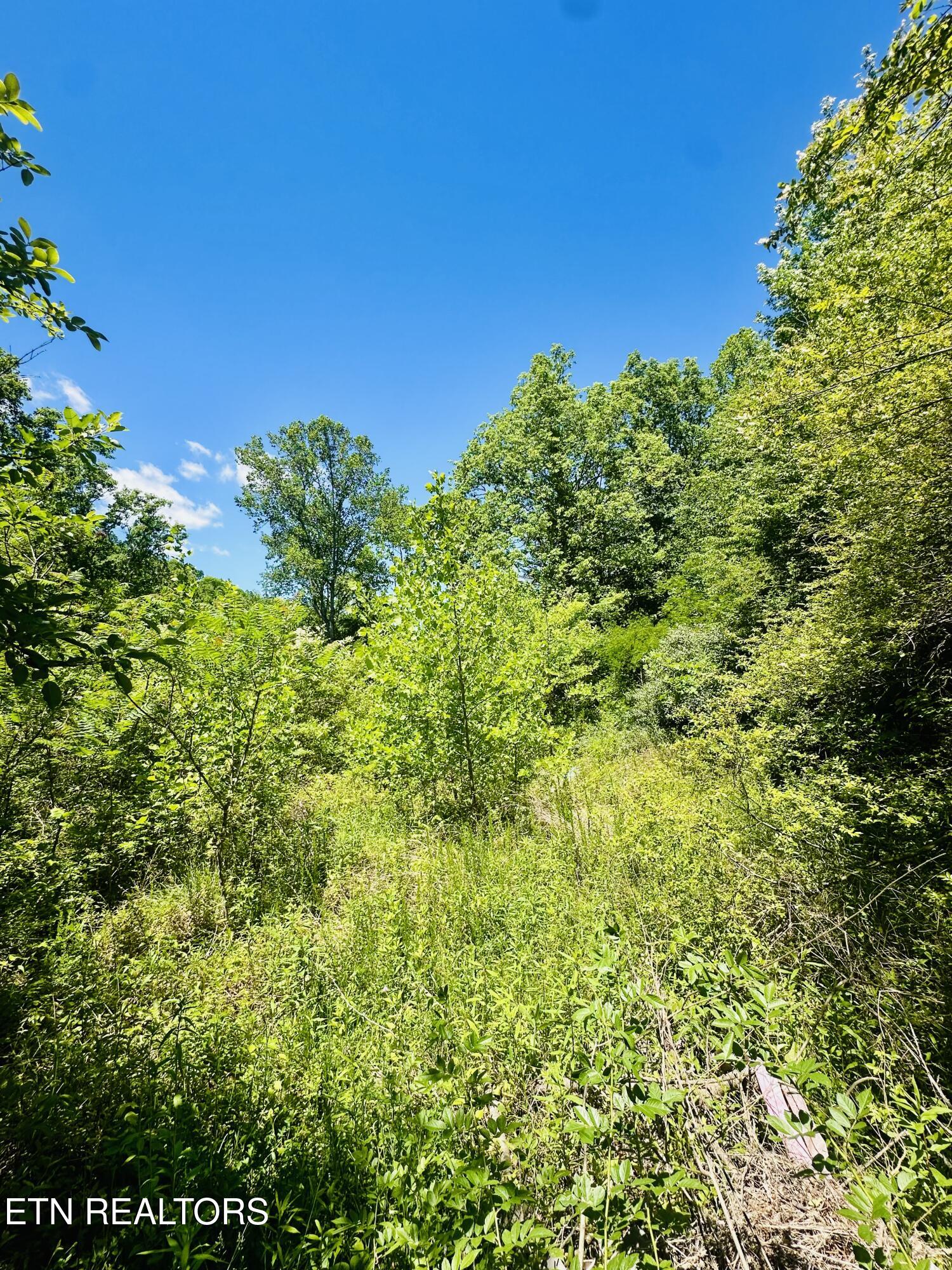 Stoney Fork Road Caryville TN 37714