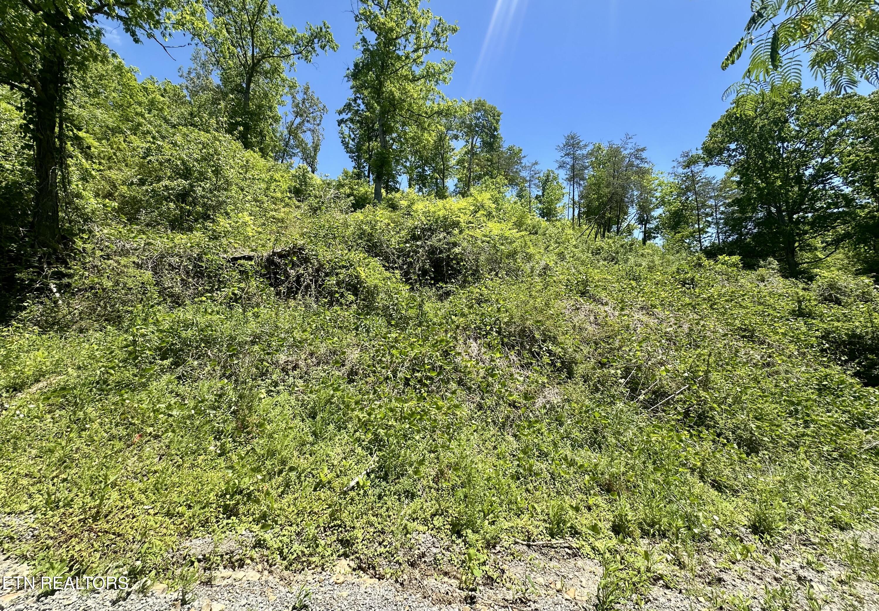 Stoney Fork Road Caryville TN 37714