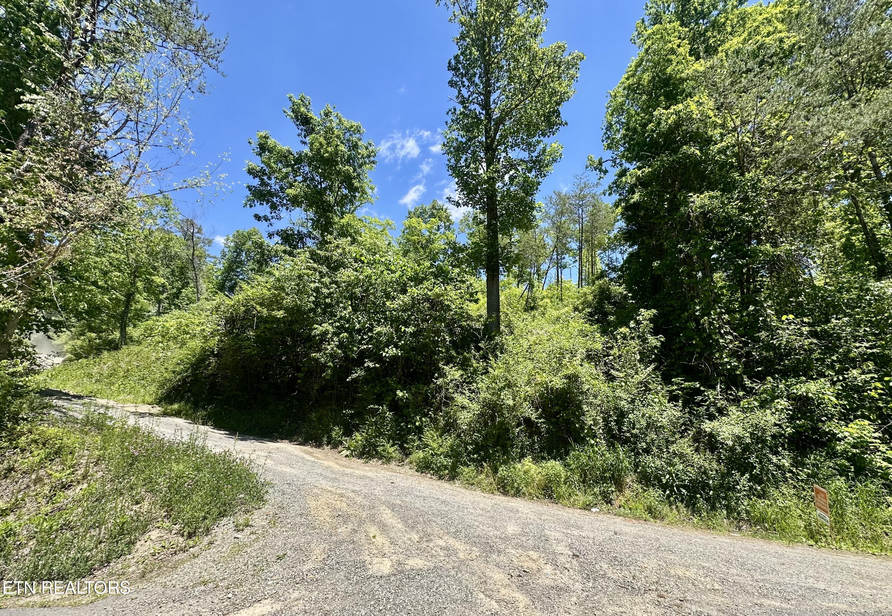 Stoney Fork Road Caryville TN 37714