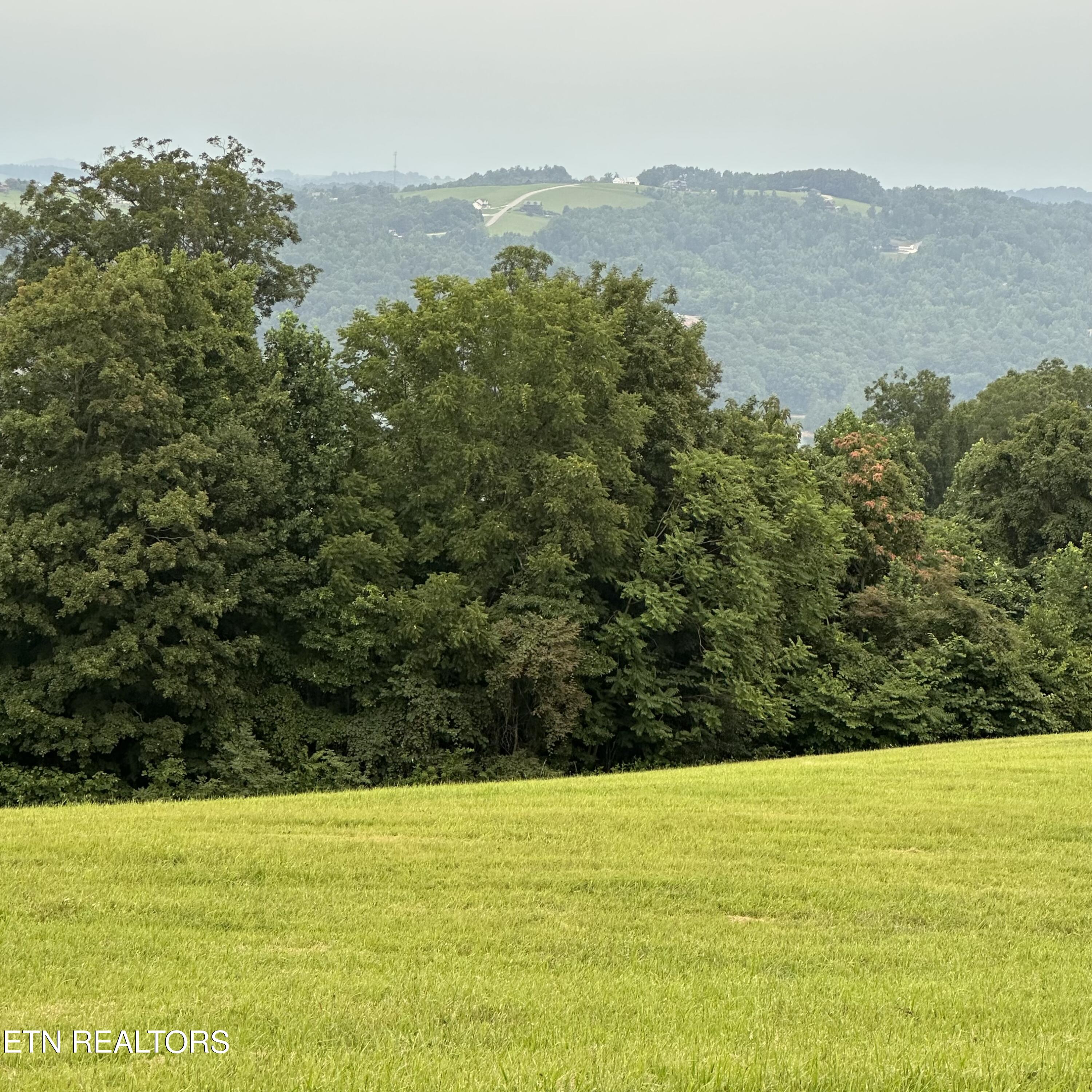 Overton Lot 8a Road Maynardville TN 37807