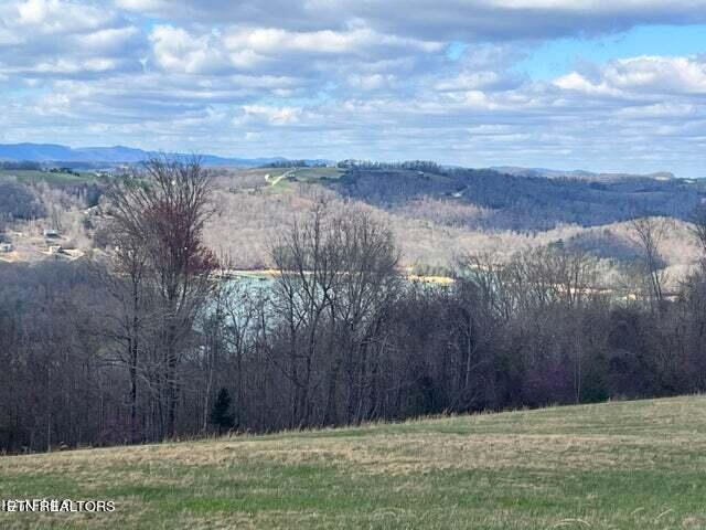 Overton Lot 8a Road Maynardville TN 37807