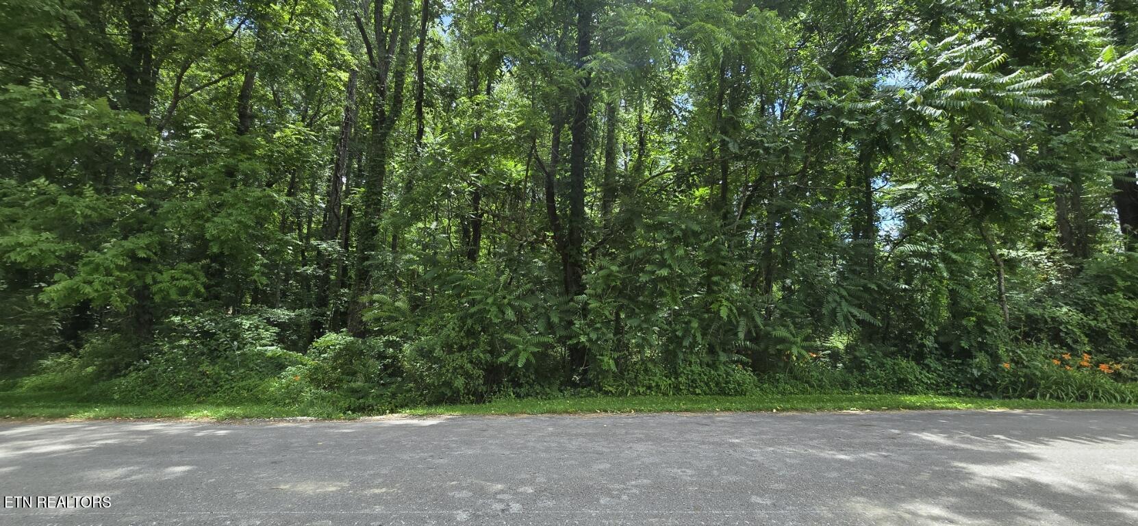 Shady Lane Oneida TN 37841