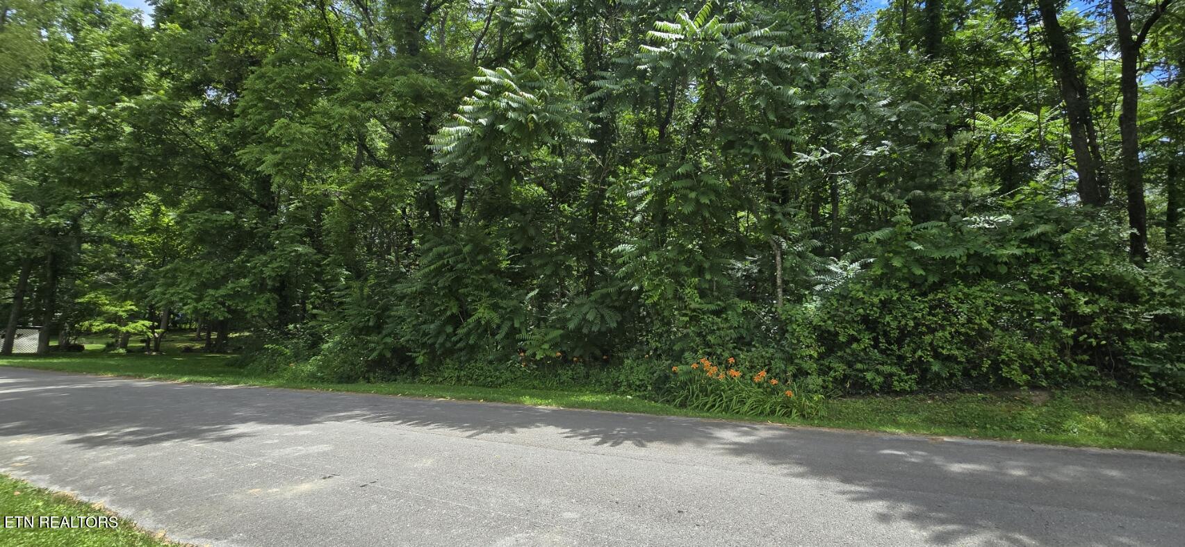 Shady Lane Oneida TN 37841
