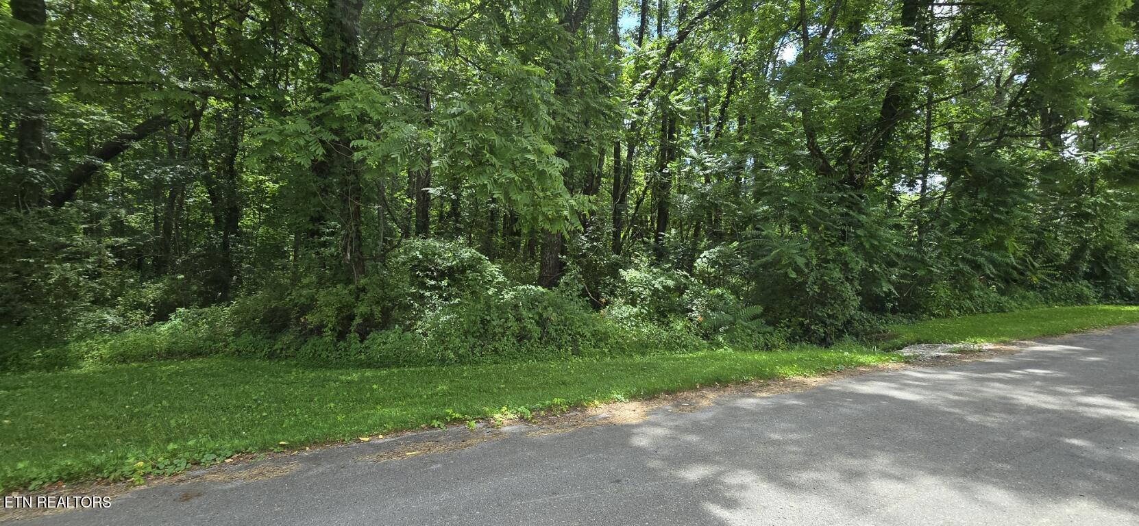 Shady Lane Oneida TN 37841
