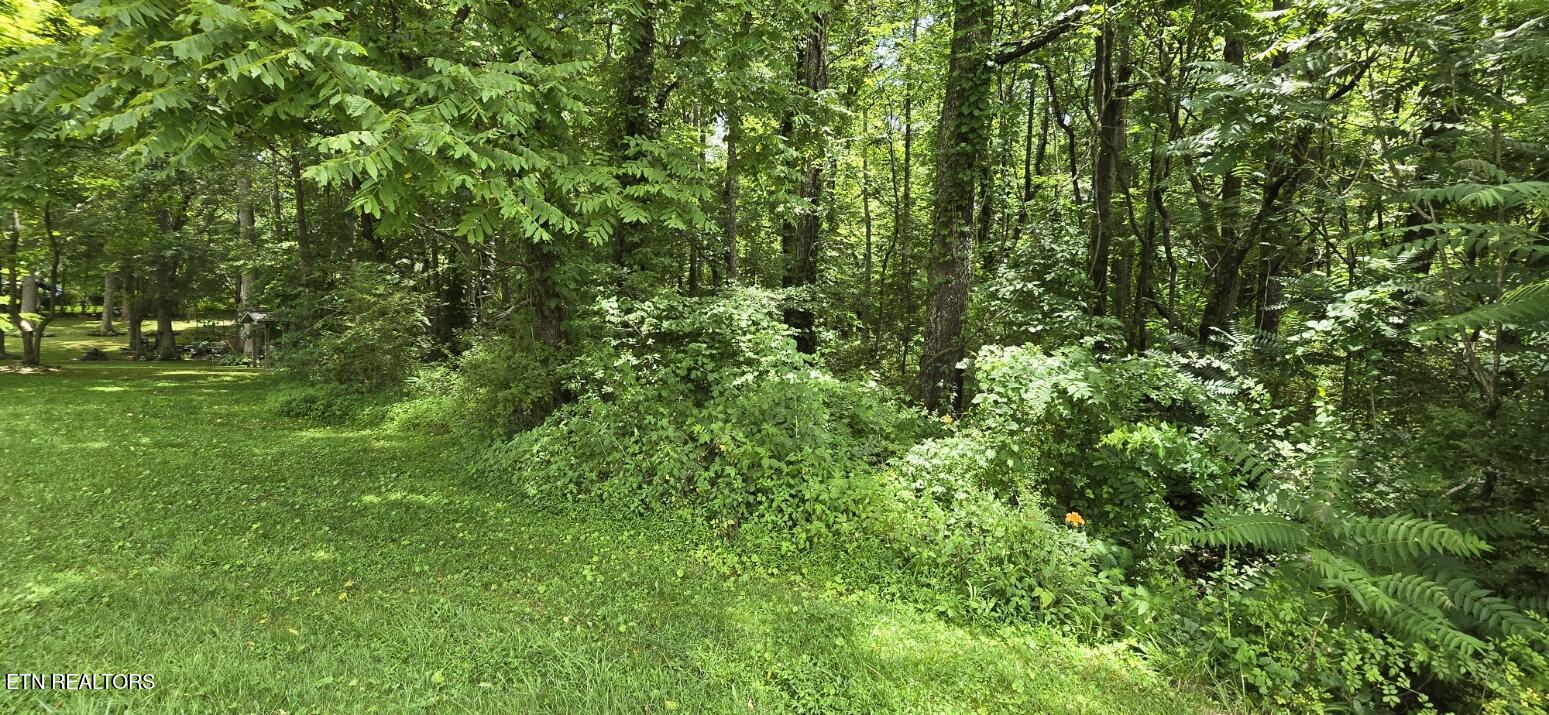 Shady Lane Oneida TN 37841