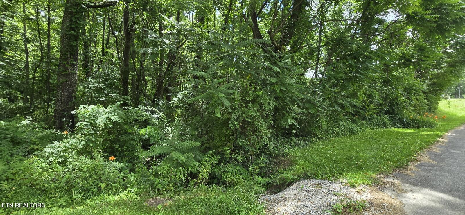 Shady Lane Oneida TN 37841