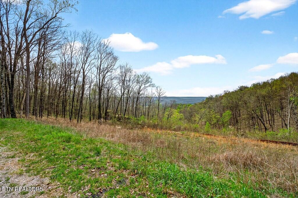 0 White Oak Flatt Road Sparta TN 38583
