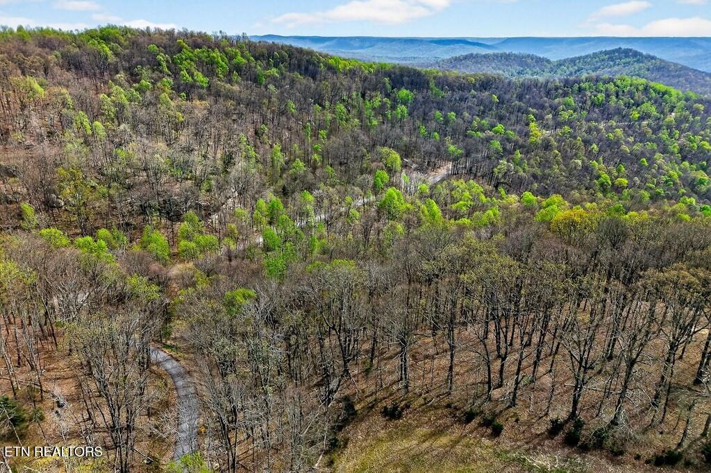 0 White Oak Flatt Road Sparta TN 38583