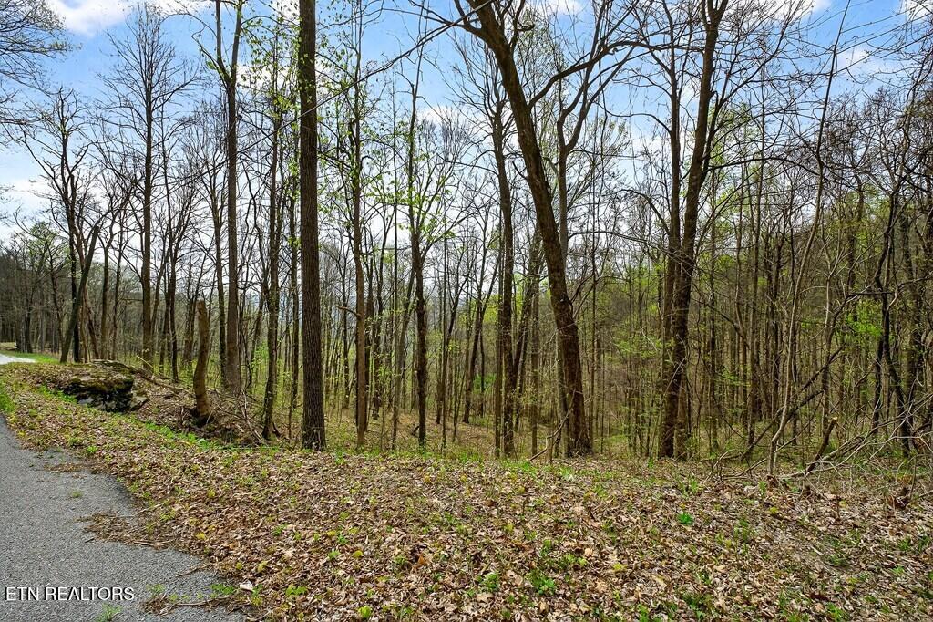 0 White Oak Flatt Road Sparta TN 38583