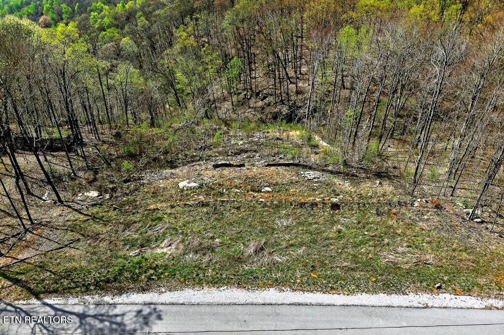 0 White Oak Flatt Road Sparta TN 38583