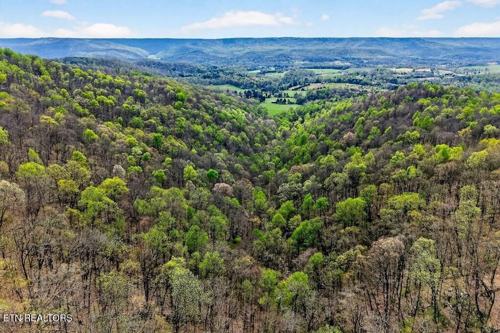 0 White Oak Flatt Road Sparta TN 38583
