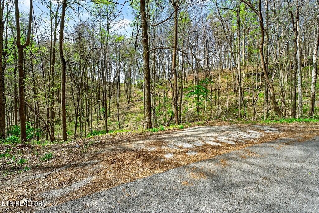 0 White Oak Flatt Road Sparta TN 38583