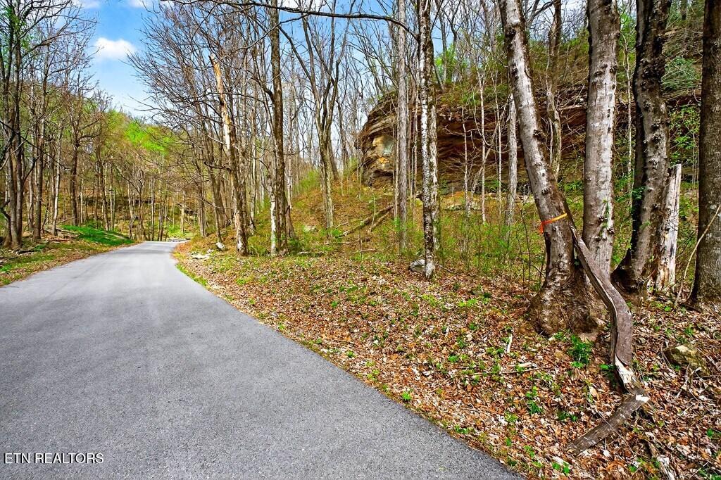 0 White Oak Flatt Road Sparta TN 38583