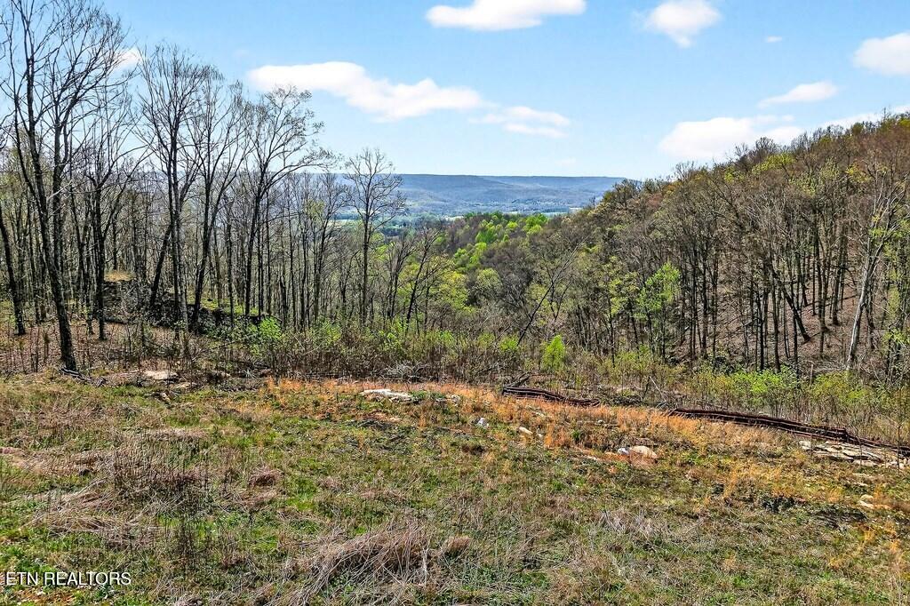 0 White Oak Flatt Road Sparta TN 38583