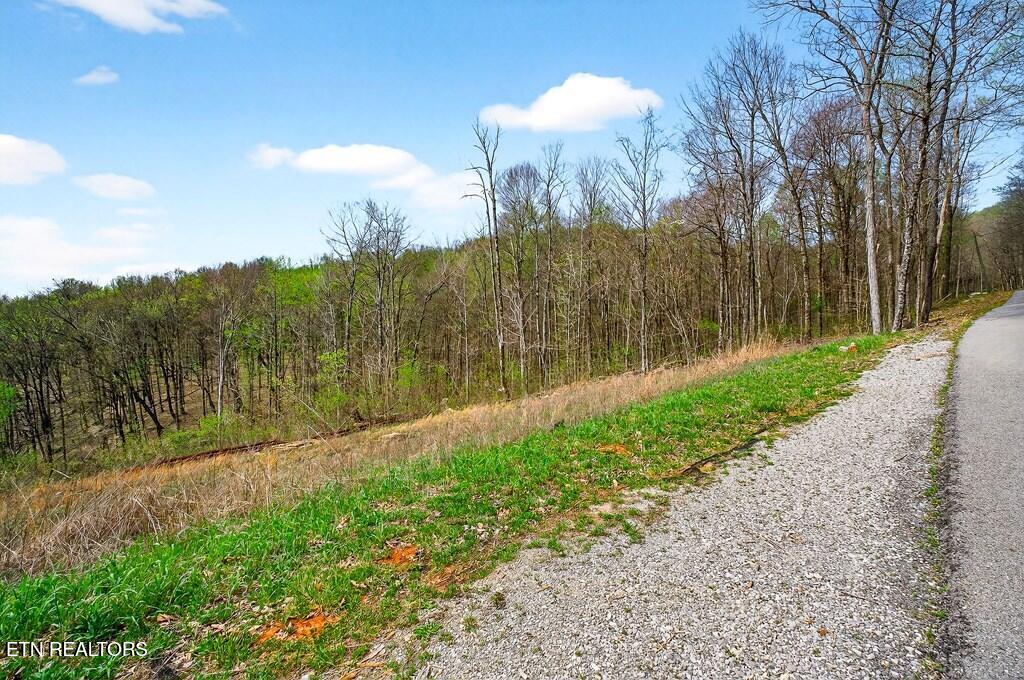 0 White Oak Flatt Road Sparta TN 38583