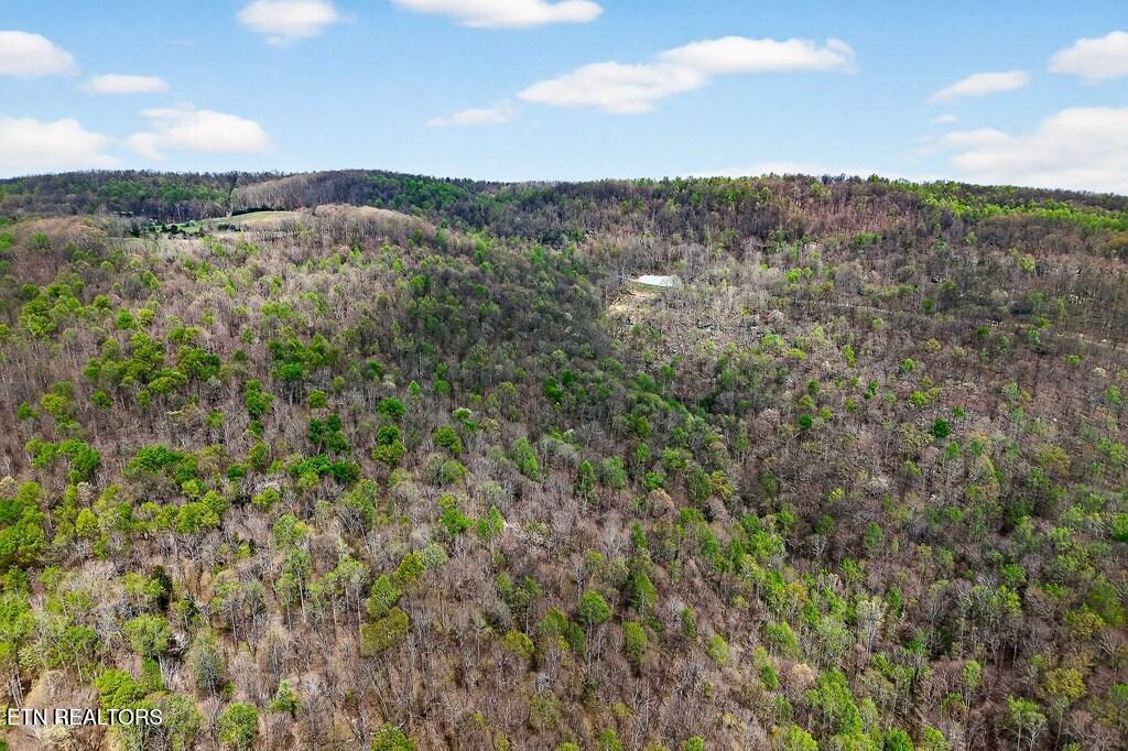 0 White Oak Flatt Road Sparta TN 38583