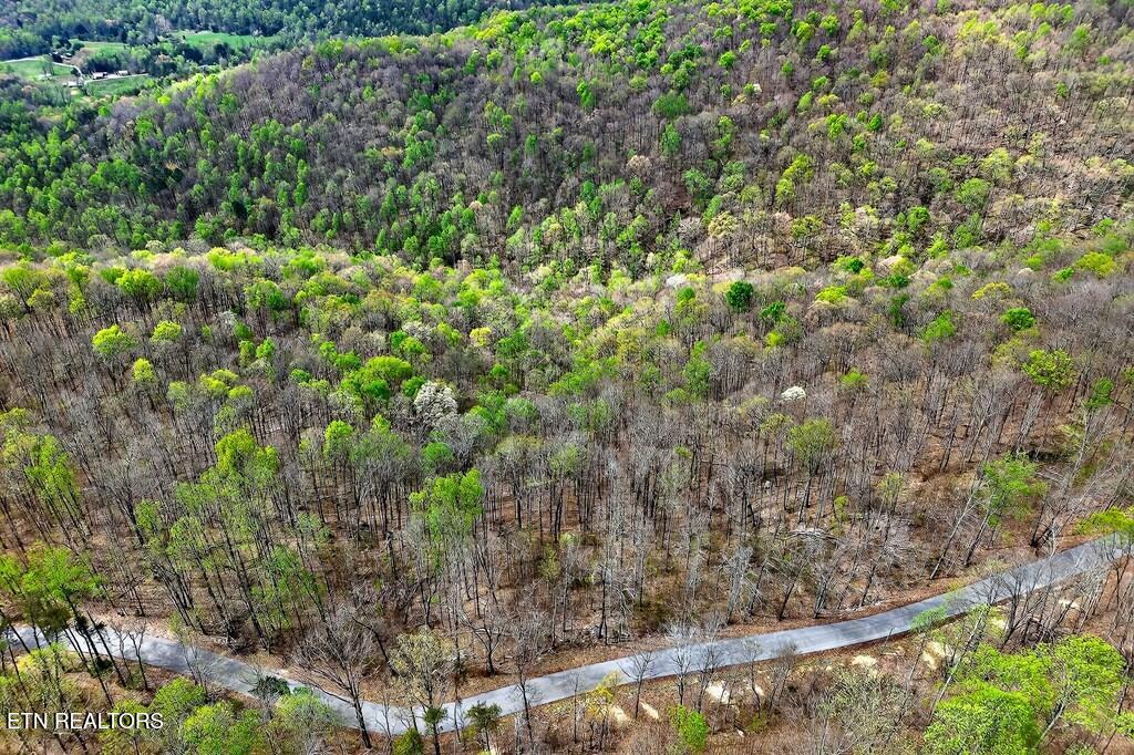 0 White Oak Flatt Road Sparta TN 38583