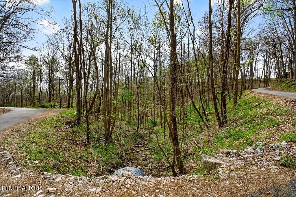 0 White Oak Flatt Road Sparta TN 38583