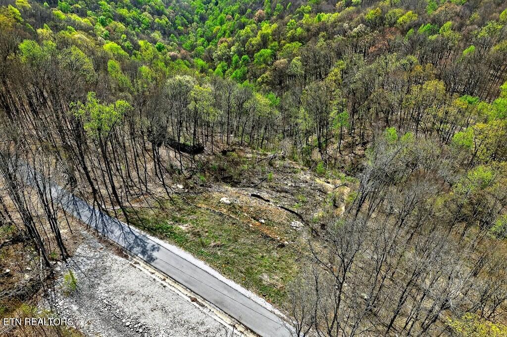 0 White Oak Flatt Road Sparta TN 38583