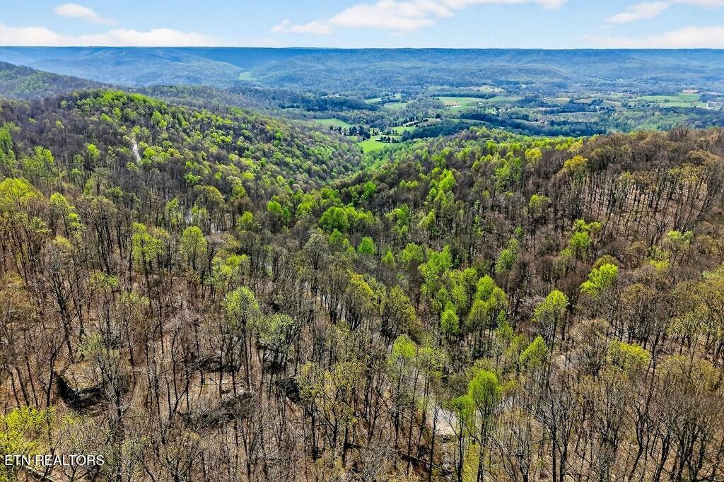 0 White Oak Flatt Road Sparta TN 38583