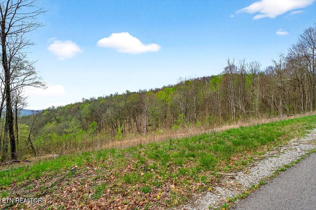 0 White Oak Flatt Road Sparta TN 38583
