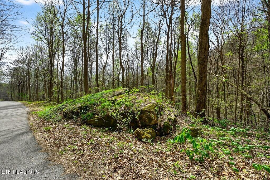 0 White Oak Flatt Road Sparta TN 38583