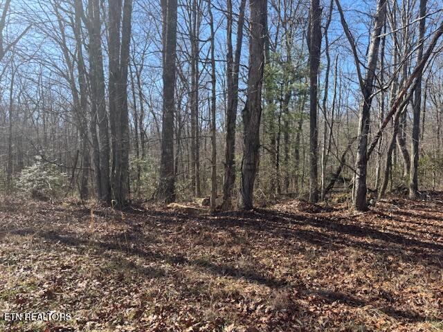 Smith Mountain Road Rockwood TN 37854