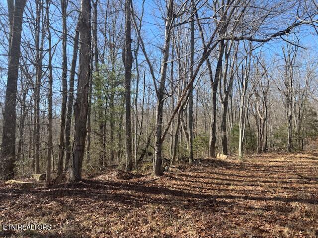 Smith Mountain Road Rockwood TN 37854