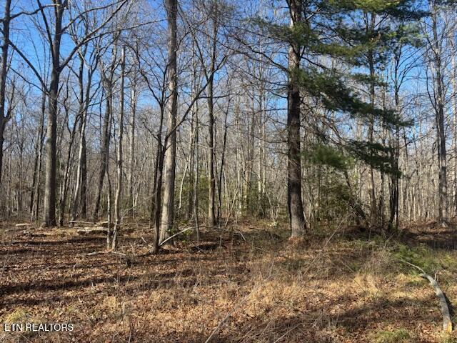 Smith Mountain Road Rockwood TN 37854