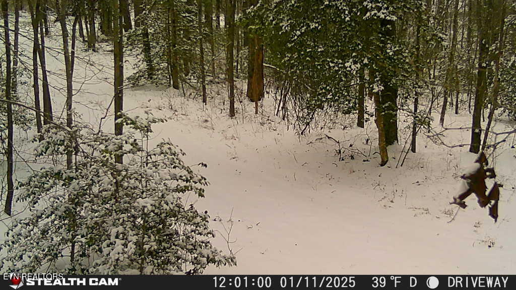 Smith Mountain Road Rockwood TN 37854