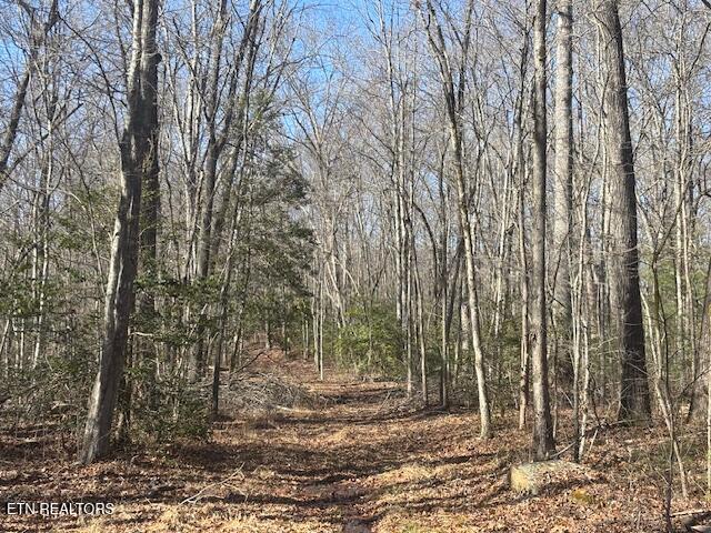 Smith Mountain Road Rockwood TN 37854