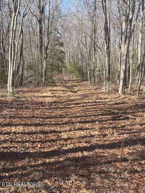 Smith Mountain Road Rockwood TN 37854