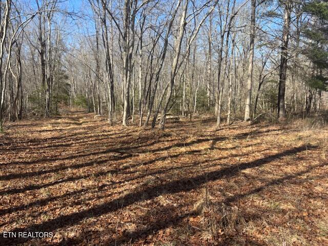 Smith Mountain Road Rockwood TN 37854