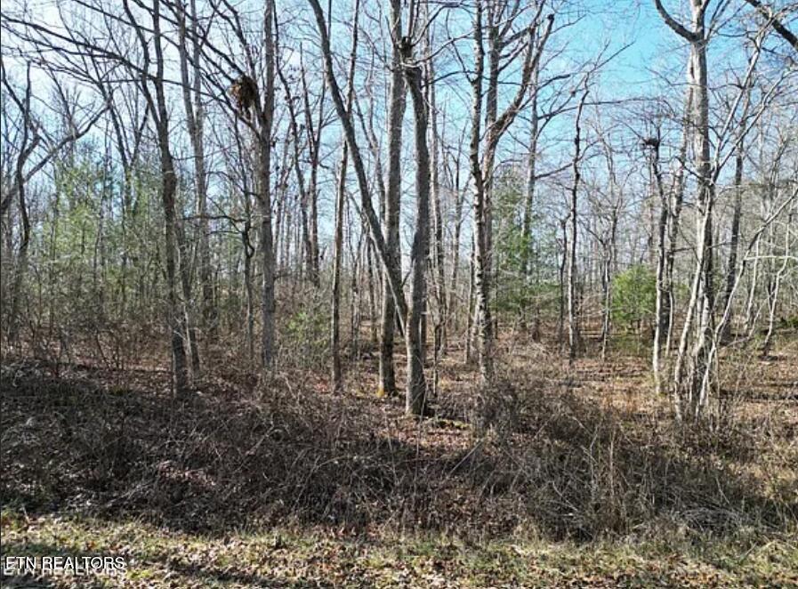 1102 Chanute Trail Crossville TN 38572