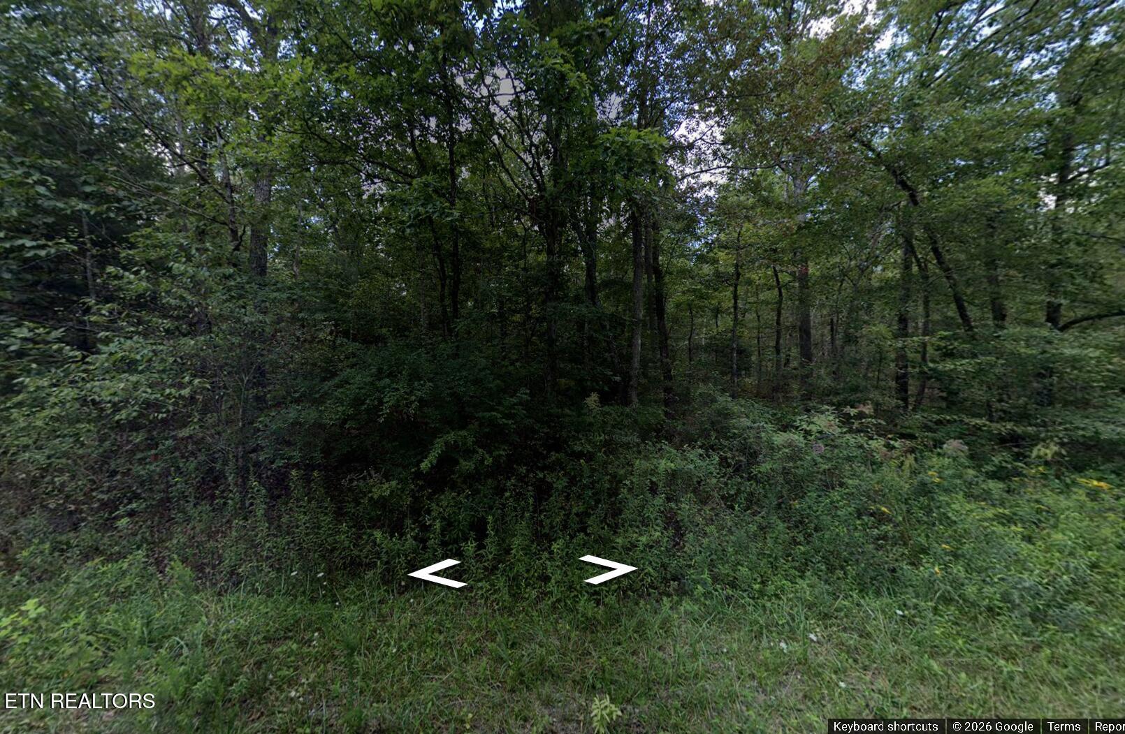 1102 Chanute Trail Crossville TN 38572