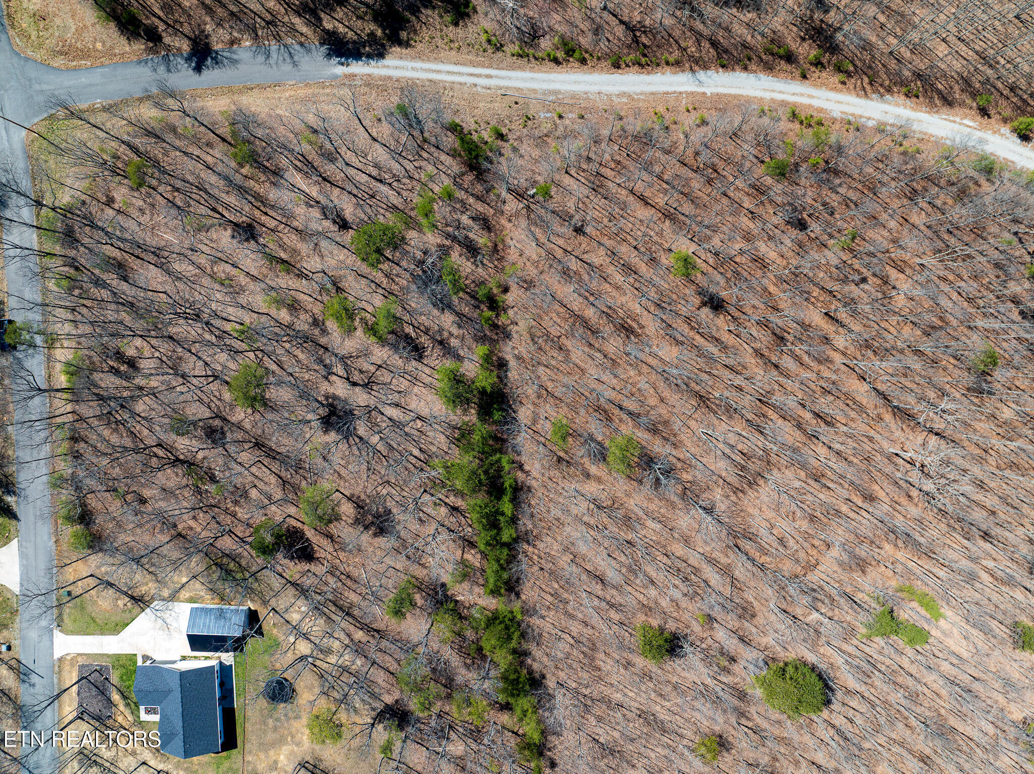 0 Gray Rock View Pikeville TN 37367