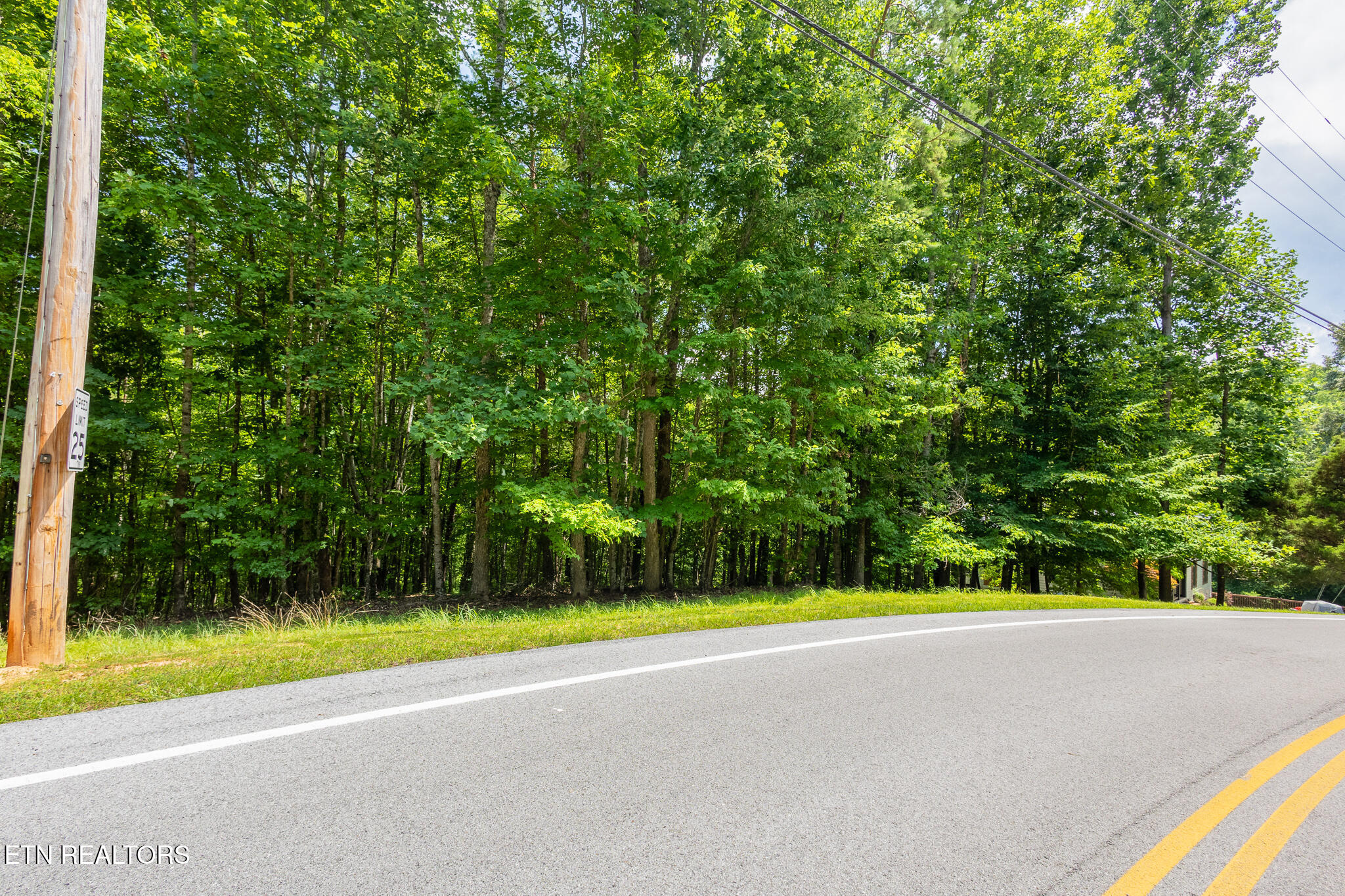 Lot 22 Indian Shadows Drive Ten Mile TN 37880