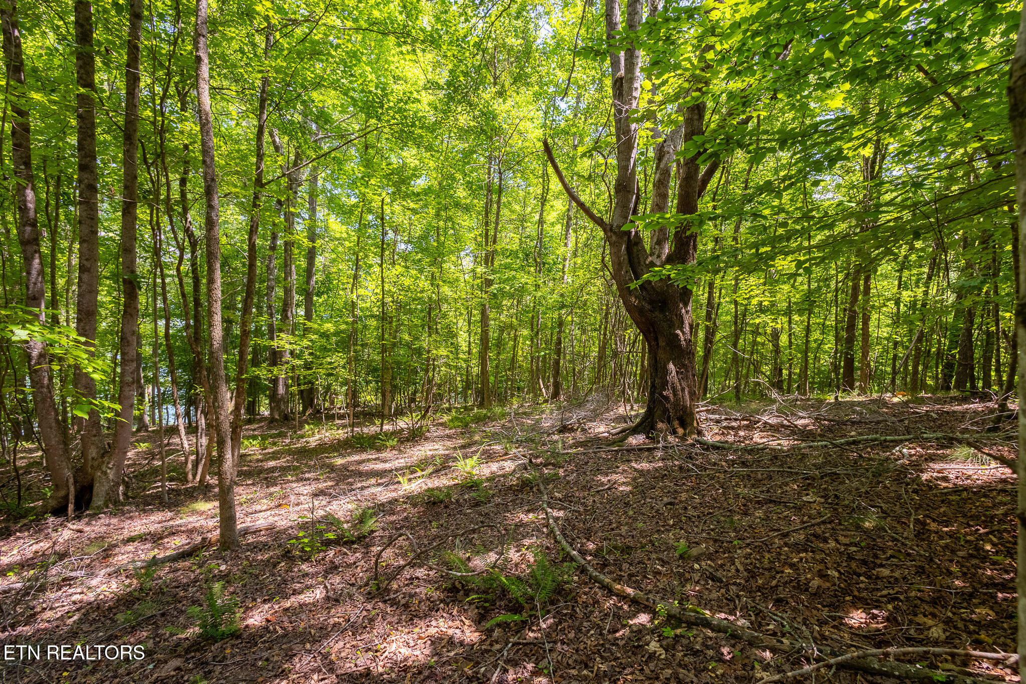 Lot 22 Indian Shadows Drive Ten Mile TN 37880