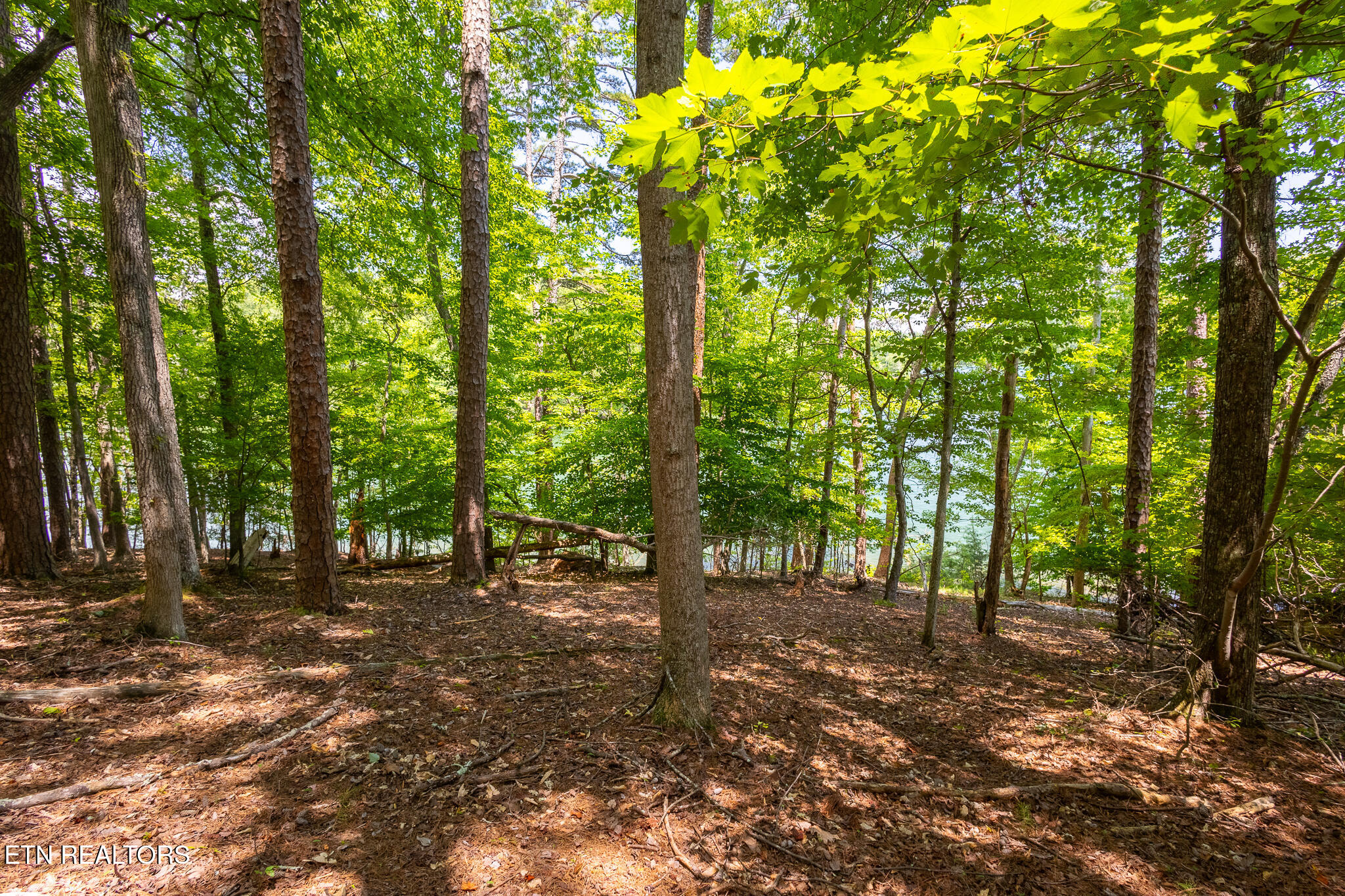 Lot 22 Indian Shadows Drive Ten Mile TN 37880