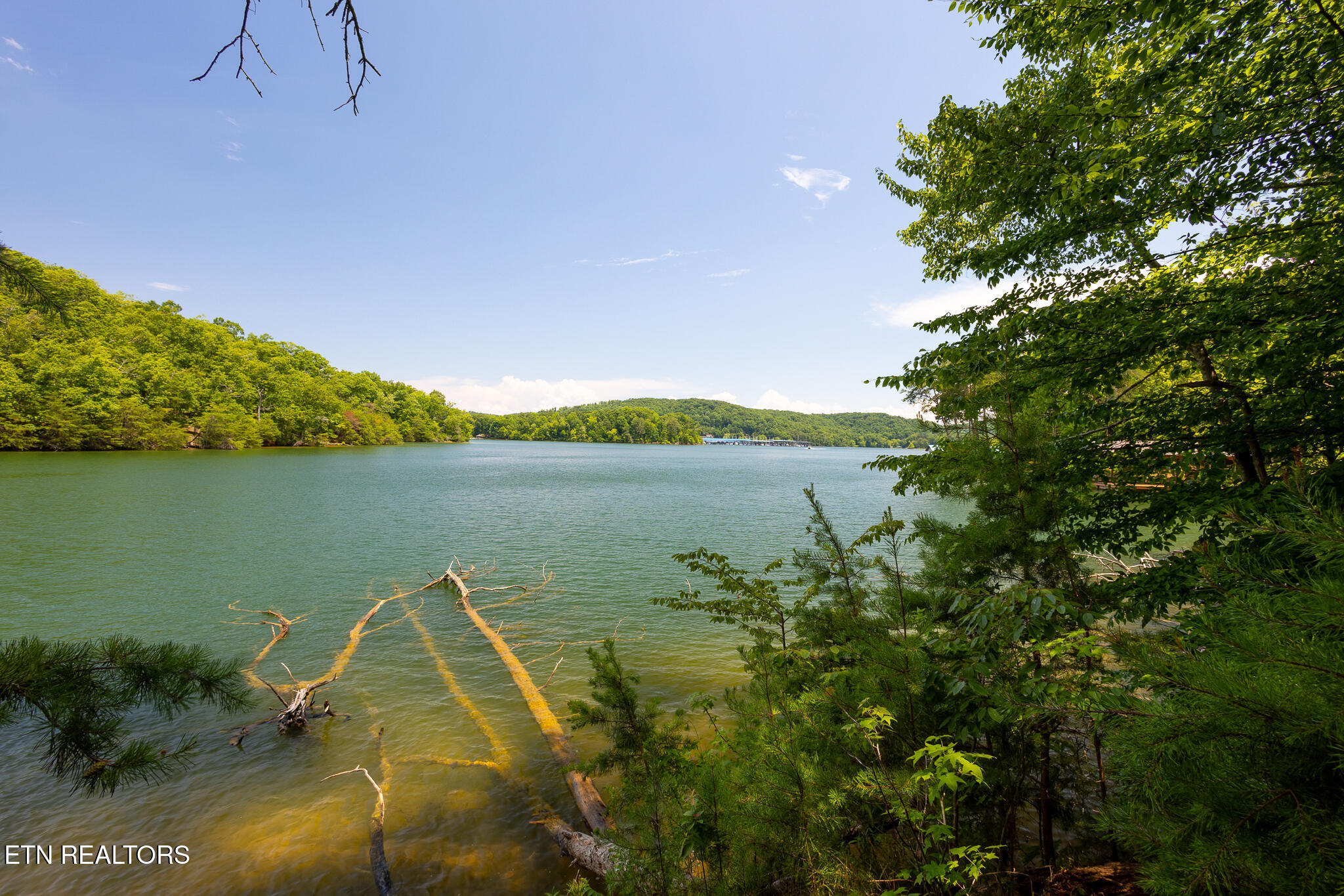 Lot 22 Indian Shadows Drive Ten Mile TN 37880