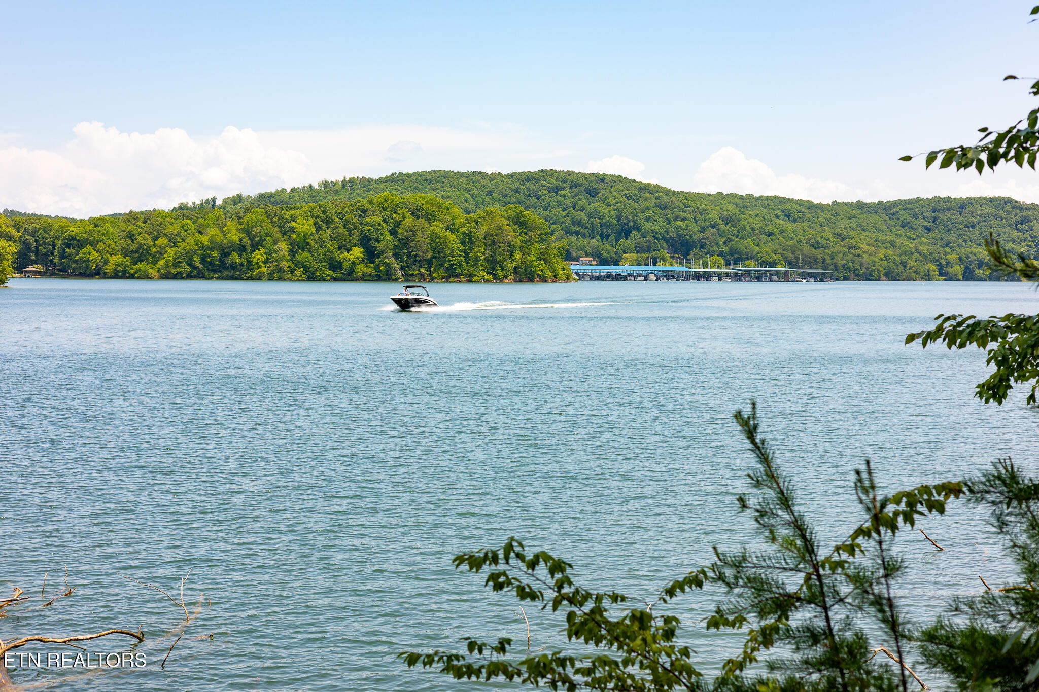 Lot 22 Indian Shadows Drive Ten Mile TN 37880