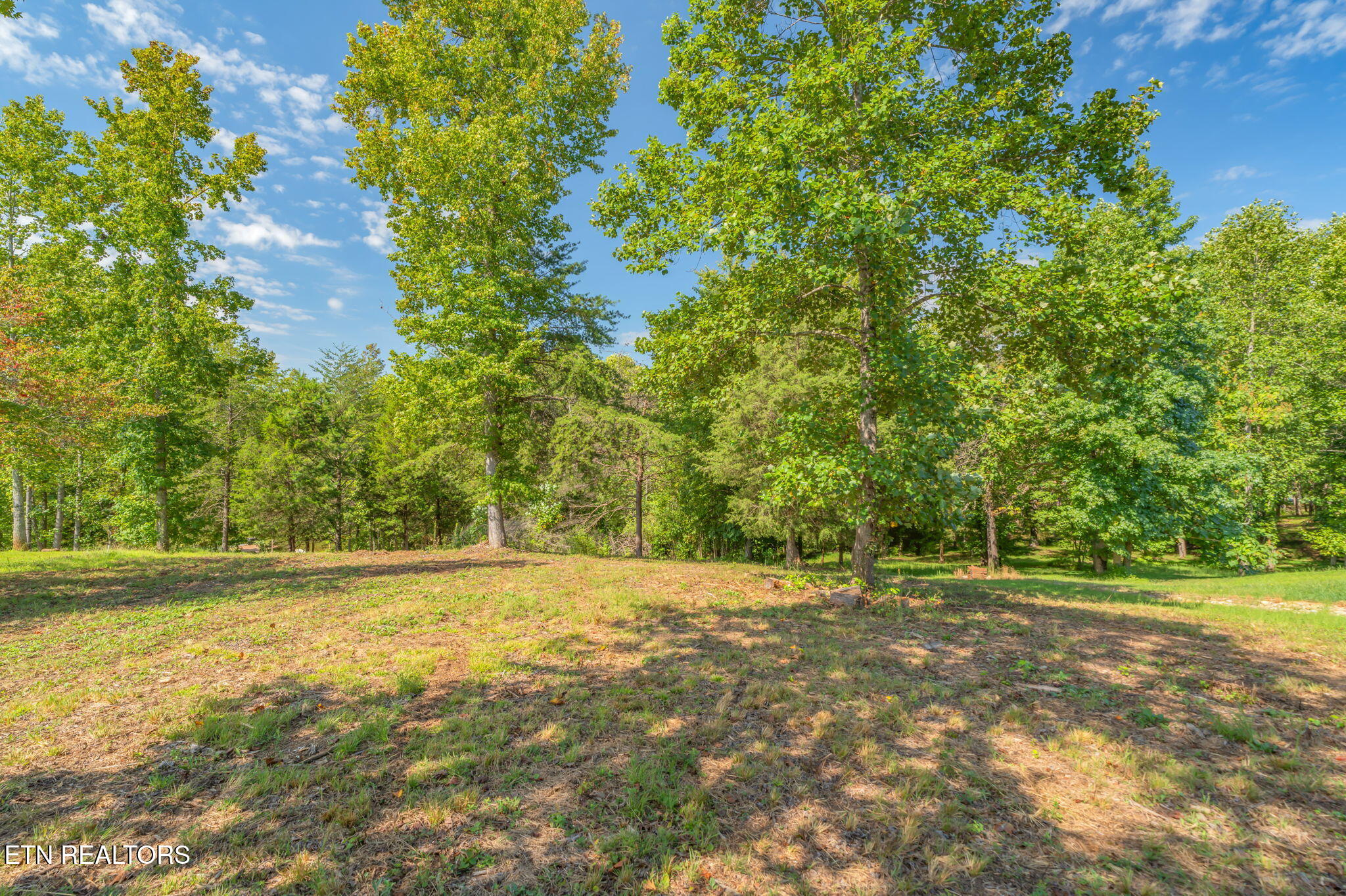 104 Blue Heron Harriman TN 37748
