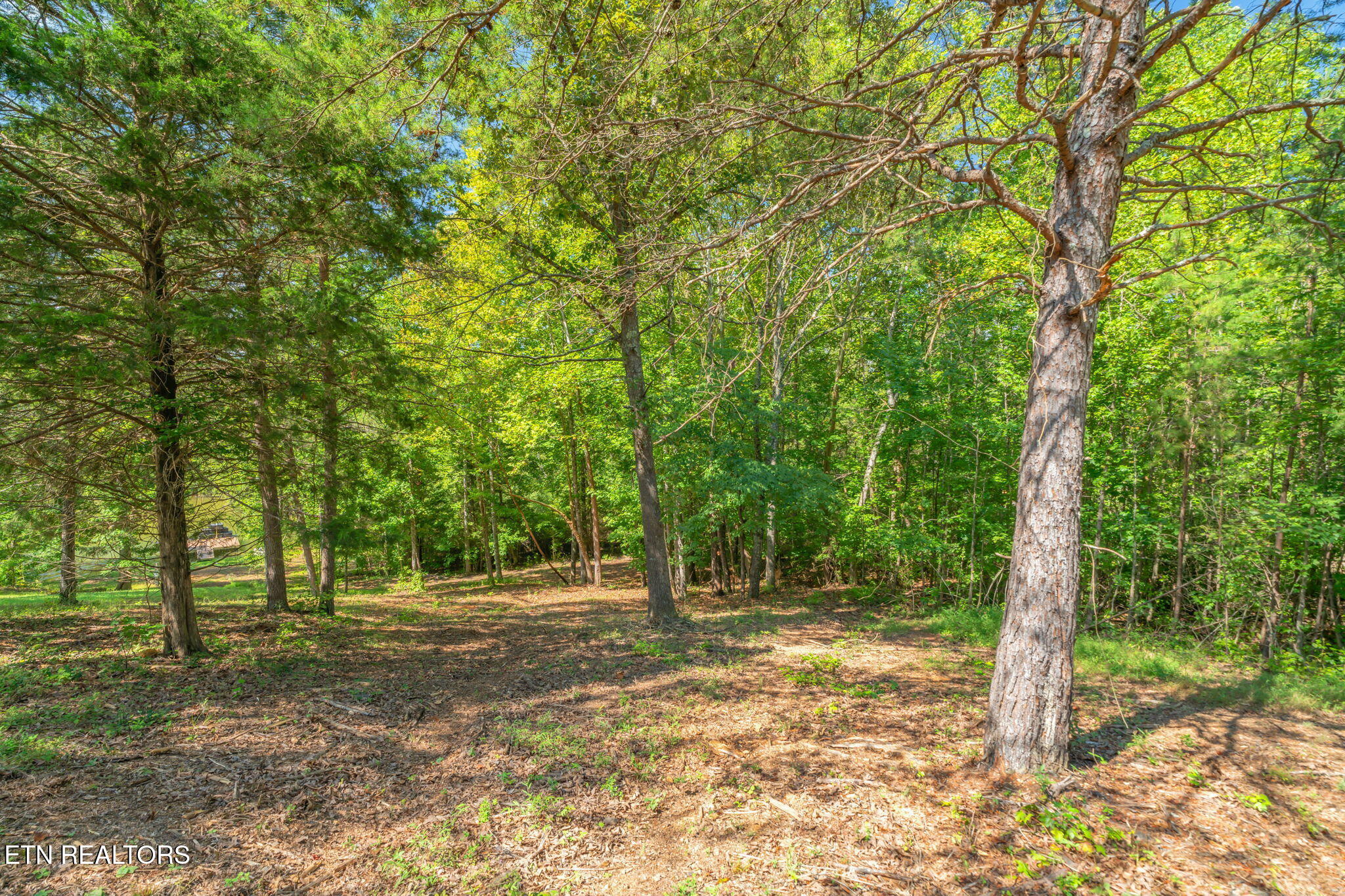 104 Blue Heron Harriman TN 37748